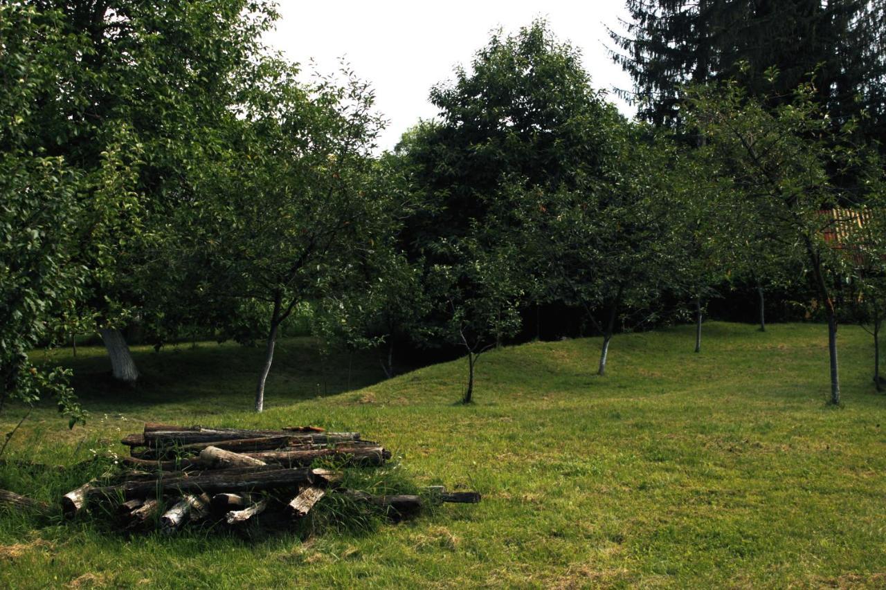 Casa Rurala Cu Livada Lavandra Campina Bagian luar foto