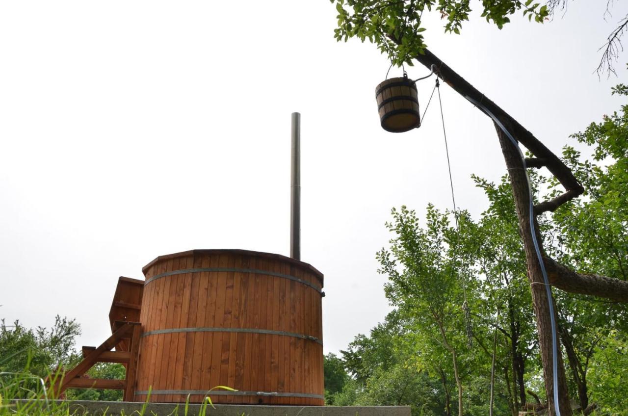 Casa Rurala Cu Livada Lavandra Campina Bagian luar foto